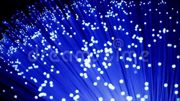光纤背景蓝色生长束的细节高速互联网连接的快速光信号改变焦点视频的预览图