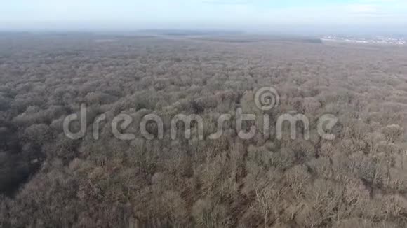 从无人机看到的森林视频的预览图