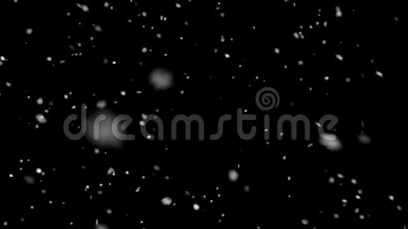 高质量的运动动画雪落在黑色背景视频的预览图