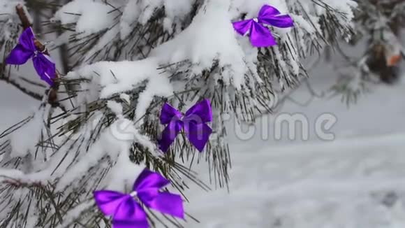 白雪皑皑的森林树上挂着丁香色的丝带视频的预览图