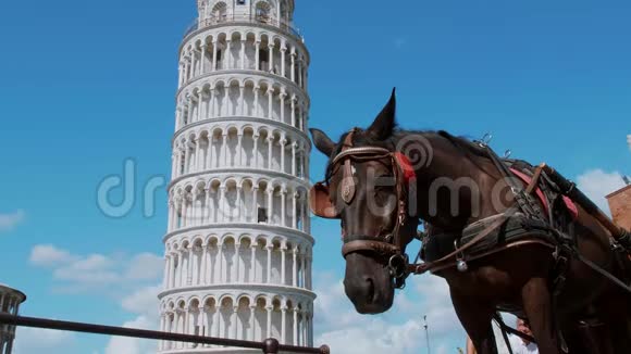 比萨最著名的旅游景点斜塔视频的预览图