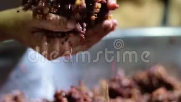 Bignay家庭葡萄酒加工手工粉碎捣碎和挤压水果视频的预览图
