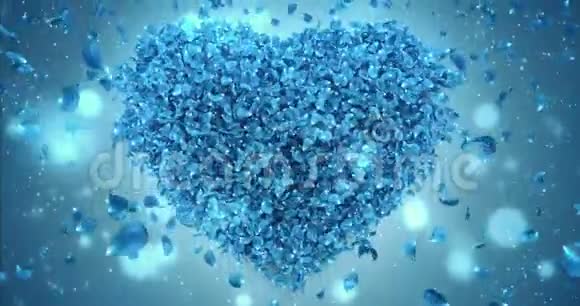 落蓝玫瑰花花瓣在可爱的心形背景循环4k视频的预览图
