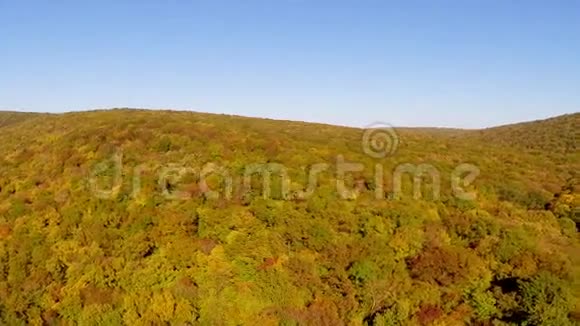 秋天的野生巴尔干森林视频的预览图