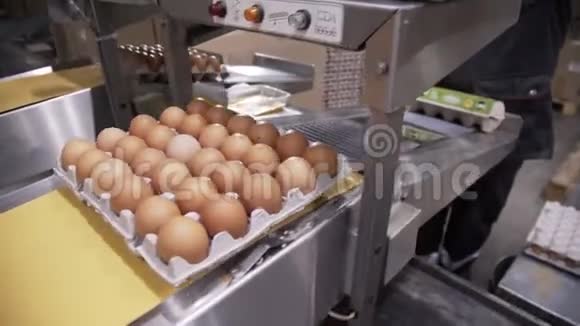 鸡蛋在工厂自动分拣视频的预览图