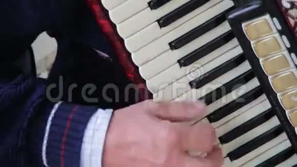 音乐家演奏手风琴视频的预览图