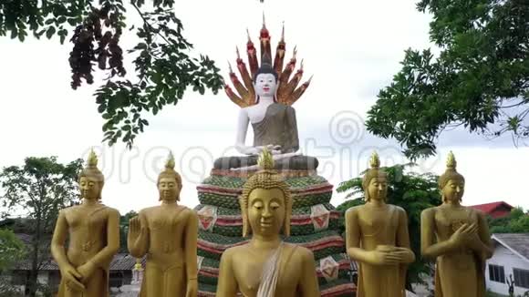 泰国清迈的鸟瞰寺视频的预览图