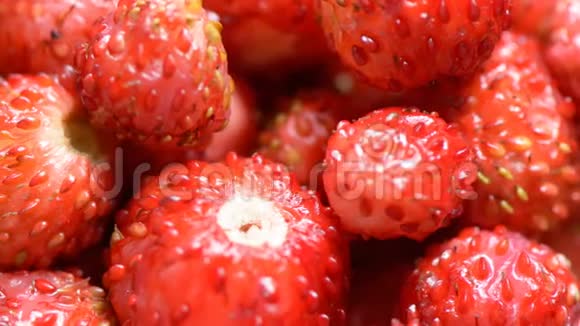 草莓的浆果视频的预览图