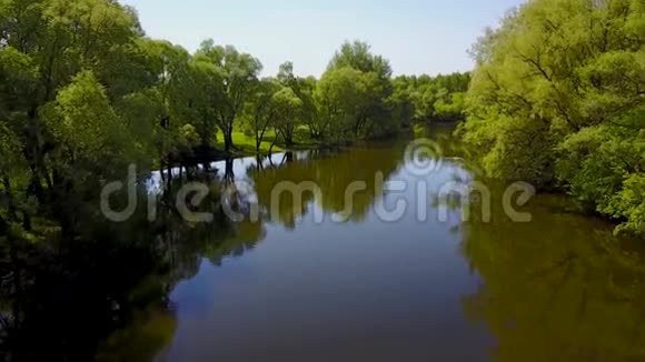 飞越Seim河乌克兰被树木包围空中录像视频的预览图