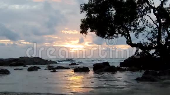 石头太阳的倒影海滩树视频的预览图