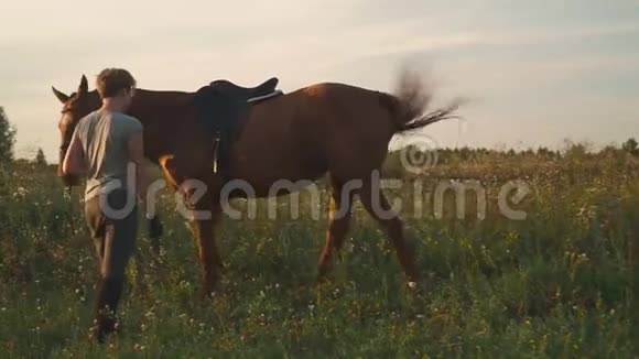 马嚼草在田野上视频的预览图
