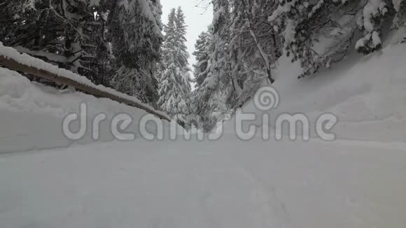 冬天森林山路上的雪视频的预览图