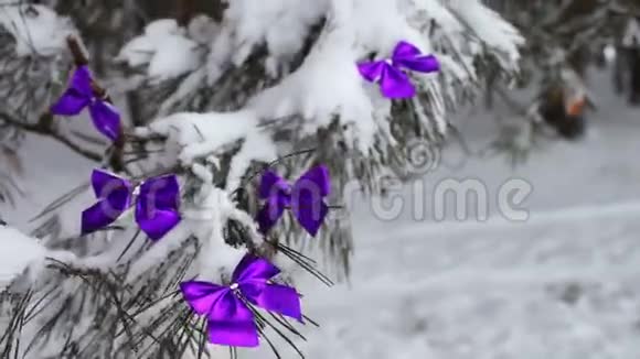 用紫薇丝带装饰的雪林树视频的预览图