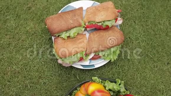 草地上美味的三明治视频的预览图