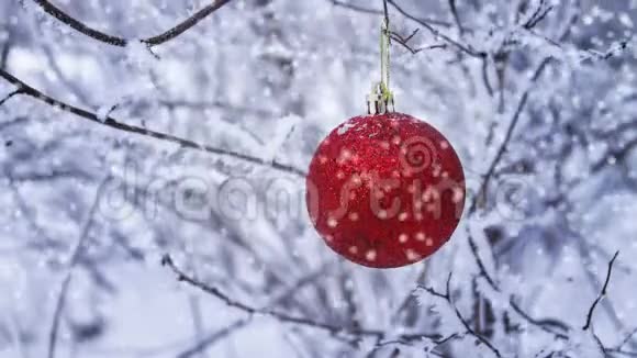 雪地特写上鲜红的圣诞球视频的预览图