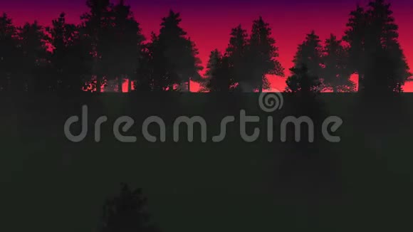 夜晚的森林和雾能够环绕视频的预览图