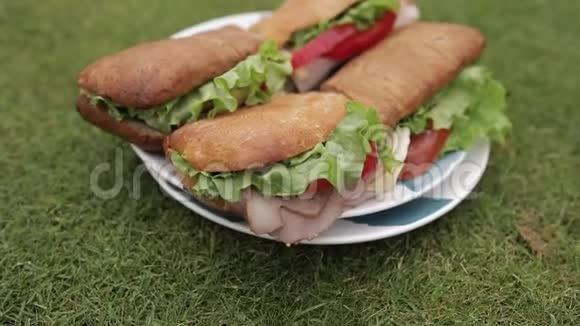 草地上美味的三明治视频的预览图