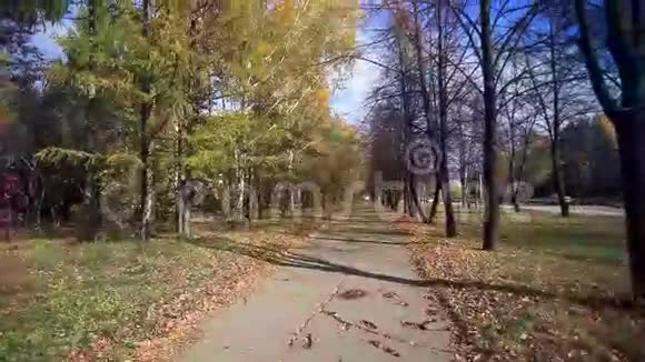 秋天的风景和道路美丽的色彩视频的预览图