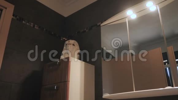 优雅的现代浴室设计视频的预览图