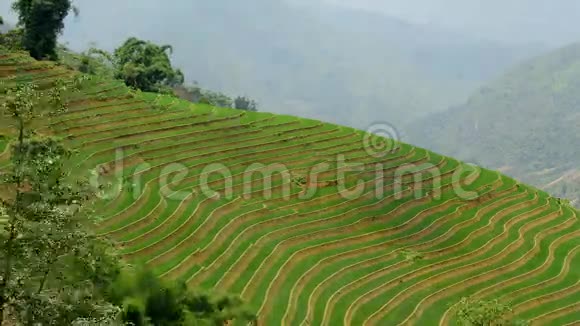 越南萨帕北部山区风景梯田的时间推移视频的预览图