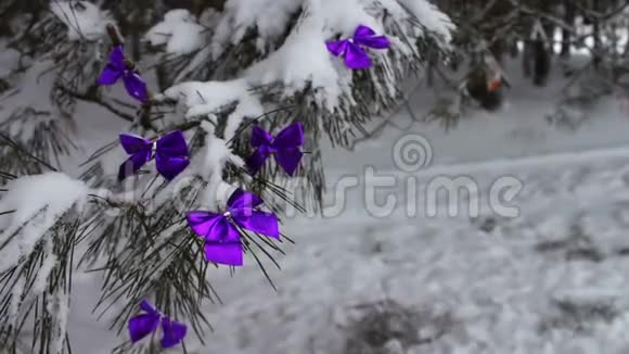 用紫薇丝带装饰的雪林树视频的预览图