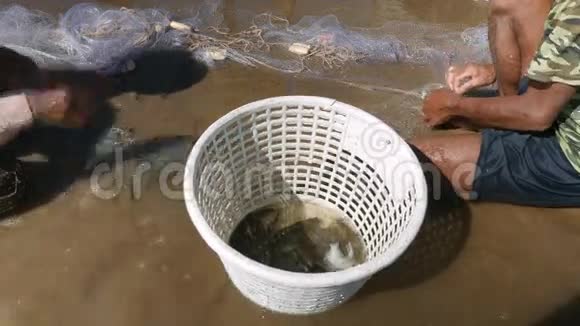 渔捞渔网过度捕捞鱼跃视频的预览图