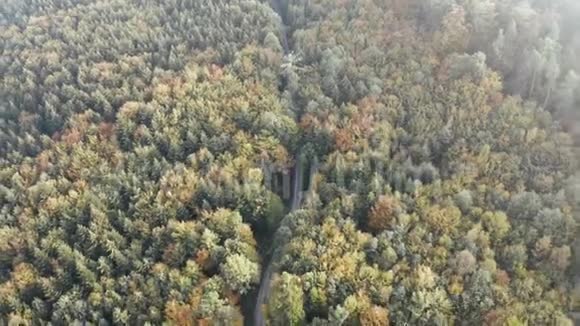 从空中俯瞰森林中央的一条道路在上面飞行视频的预览图