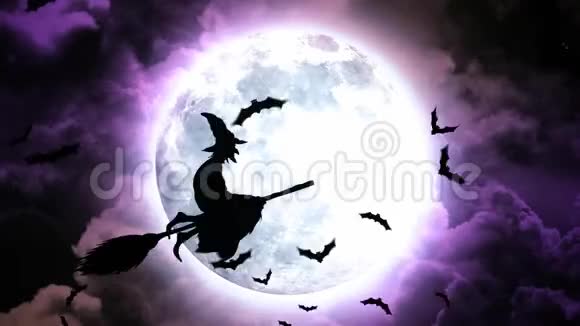 紫色天空中的万圣节蝙蝠和女巫视频的预览图