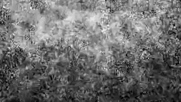 降雪背景是否孤立在黑色卢马冰上雪落的无缝环形背景24岁视频的预览图