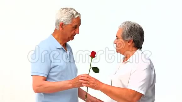 成熟的男人向妻子献上玫瑰视频的预览图