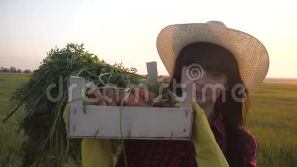 女孩红脖子农夫农业收获生态农业一个概念慢动作视频快乐的女孩在收割散步视频的预览图