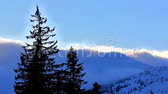 冬天的树在雪下视频的预览图