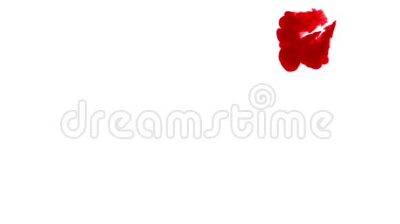 一股深红色的墨水在水中蔓延在白色的背景上作为阿尔法通道使用卢马哑光视频的预览图