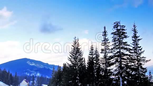 冬天的树在雪下视频的预览图