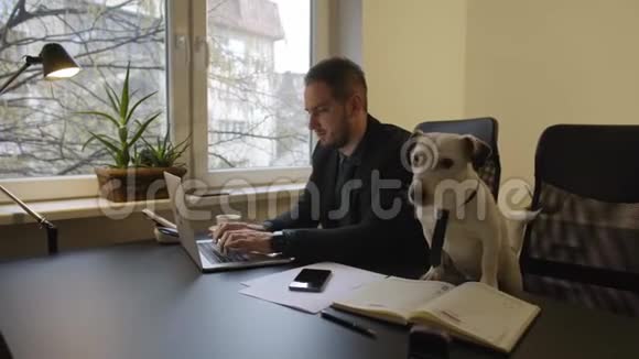 快乐的商人在办公室工作坐在狗旁边戴着领带视频的预览图