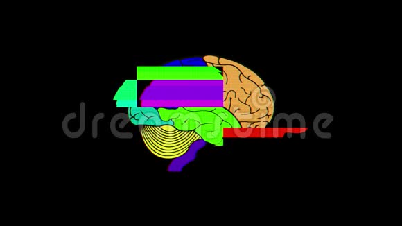 人脑对故障显示丰富多彩的无缝动画背景新的质量健康技术医学运动视频的预览图