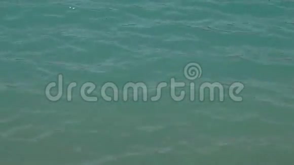 波浪在蓝色的水上视频的预览图