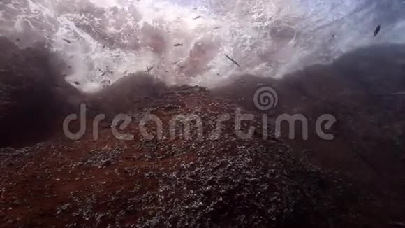 在太平洋水下降落礁石视频的预览图