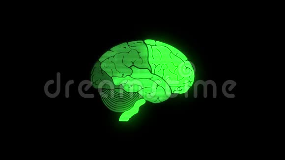 人类大脑在hud上的故障显示丰富多彩的无缝动画背景新的质量健康技术医学视频的预览图
