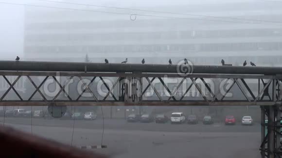 雾中十字路口的金属农场视频的预览图