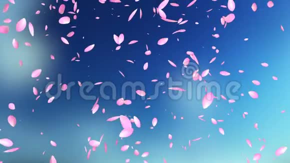 粉红花瓣飞舞对抗模糊的天空视频的预览图