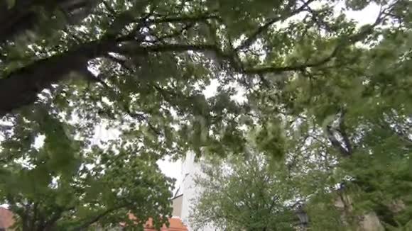 教堂古塔林的寺庙爱沙尼亚视频的预览图