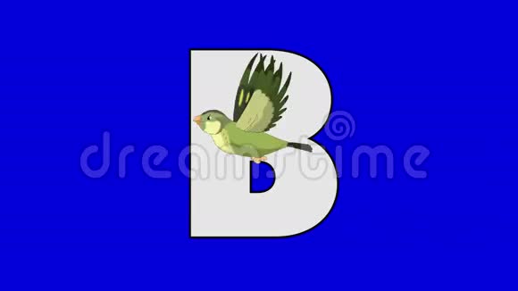 字母B和鸟前景视频的预览图