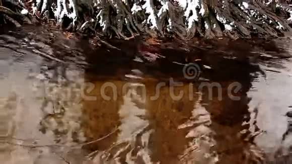 冬天的河流户外公园视频的预览图