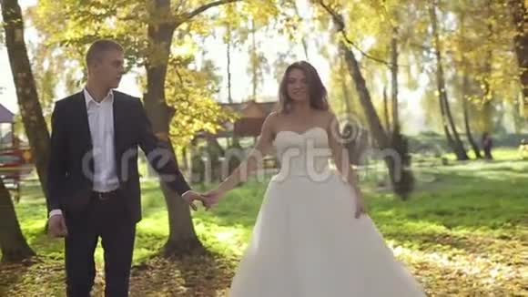 美丽的新娘和新郎在秋天公园散步视频的预览图