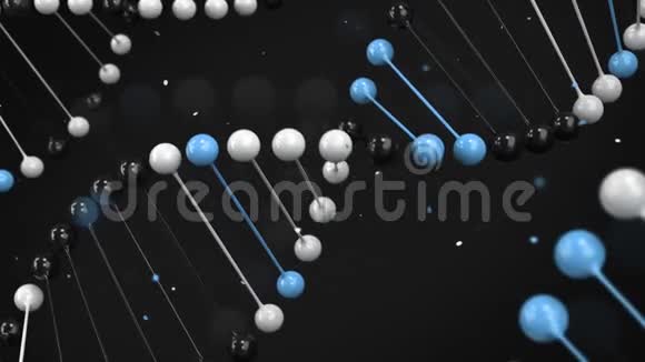 黑色白色和蓝色DNA链在黑色背景上的光泽模型视频的预览图