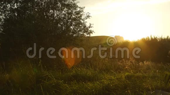 俄罗斯夕阳下的乡村风景视频的预览图