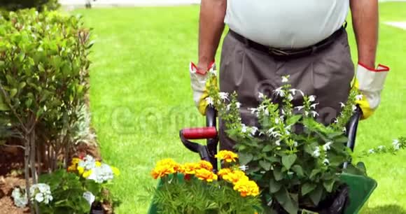 年长夫妇站在花园里用手推车视频的预览图
