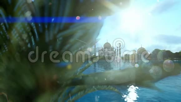 泰姬陵从亚穆纳河上观看飞机飞越蓝天视频的预览图