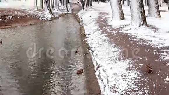 冬天的河流户外公园视频的预览图